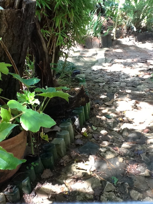 Botanical gardens of Casa N-Bolom with wine bottle pathways.
